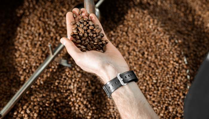 Kahve Kavurma Tesisi Danışmanlığı | Profesyonel Çözümlerle Üretiminizi Optimize Edin